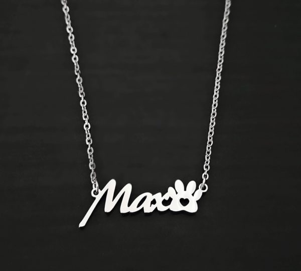 náhrdelník řetízek Max chirurgická ocel